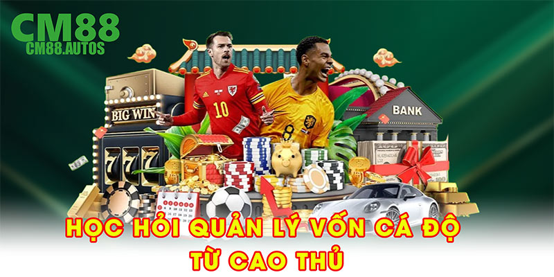 Học hỏi quản lý vốn cá độ từ cao thủ