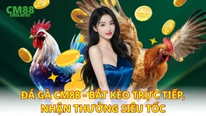 Đá gà CM88